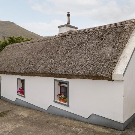 The Thatched Cottage Liscarney Extérieur photo