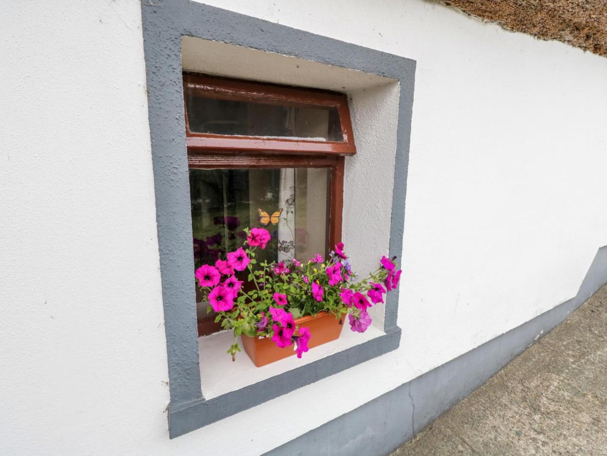 The Thatched Cottage Liscarney Extérieur photo